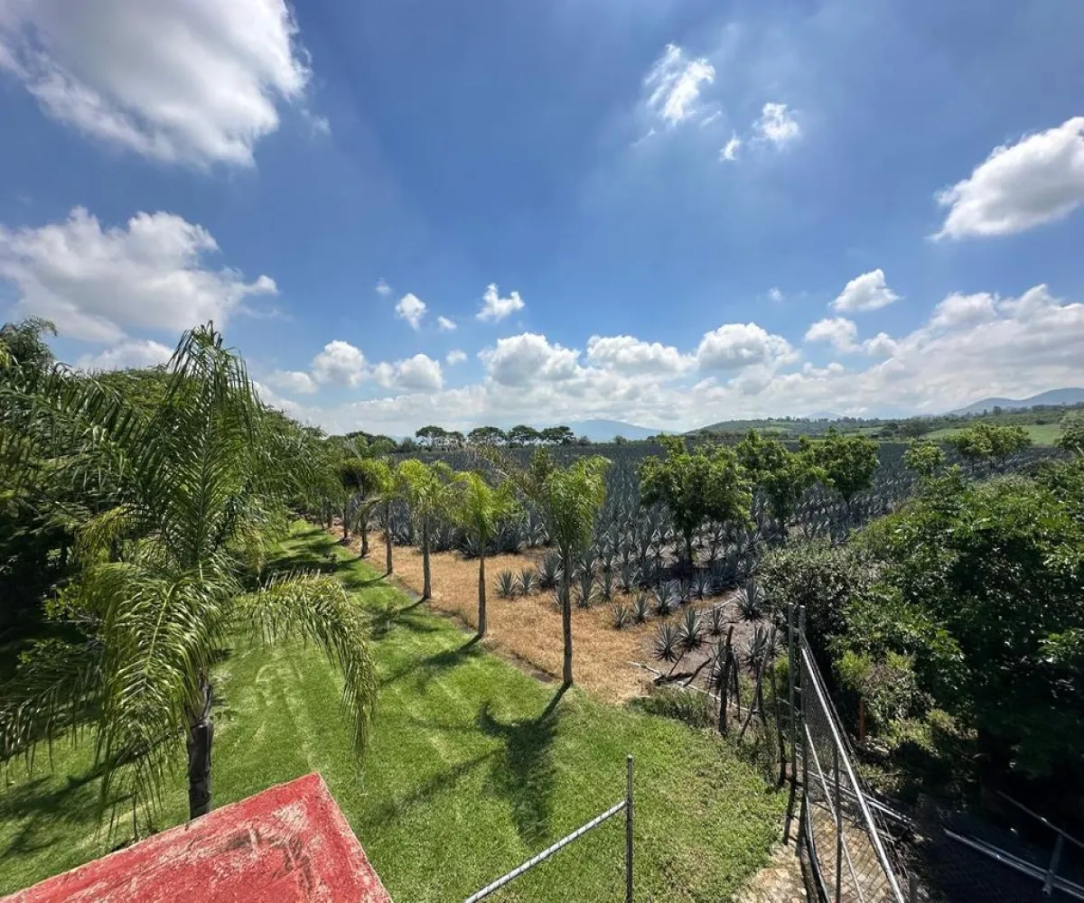 Terreno En Venta,Buenavista,Francisco Villa S/N, Ixtlahuacán de los Membrillos, Jalisco 45850,Francisco Villa,pB5likH