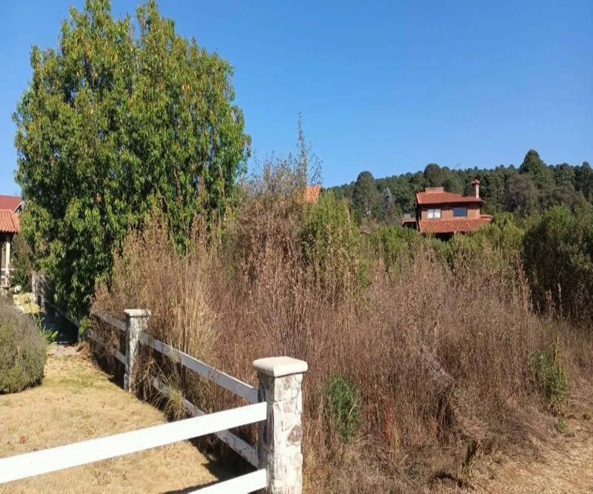 Terreno En Venta,Los Colonos,morelos S/N, Tapalpa, Jalisco 49345,morelos,pVIwTbP