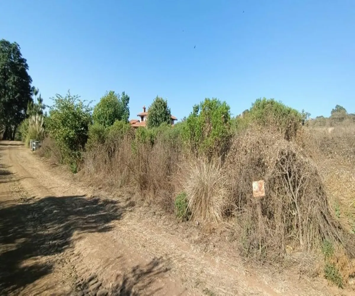 Terreno En Venta,Los Colonos,morelos S/N, Tapalpa, Jalisco 49345,morelos,pVIwTbP
