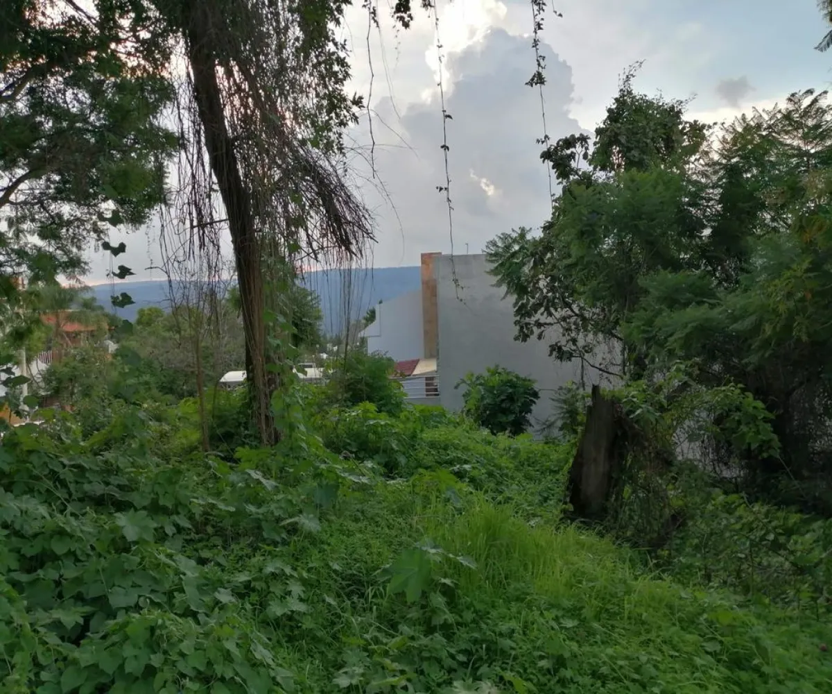 Terreno En Venta,Ciudad Bugambilia,Del Reno Norte S/N, Zapopan, Jalisco 45237,Del Reno Norte,pByvBAm