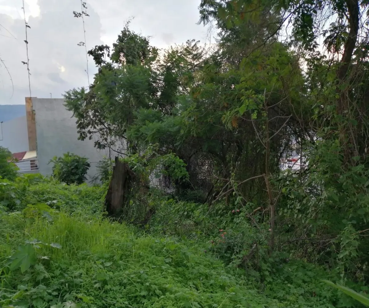 Terreno En Venta,Ciudad Bugambilia,Del Reno Norte S/N, Zapopan, Jalisco 45237,Del Reno Norte,pByvBAm