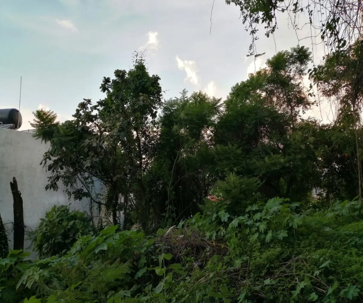 Terreno En Venta,Ciudad Bugambilia,Del Reno Norte S/N, Zapopan, Jalisco 45237,Del Reno Norte,pByvBAm