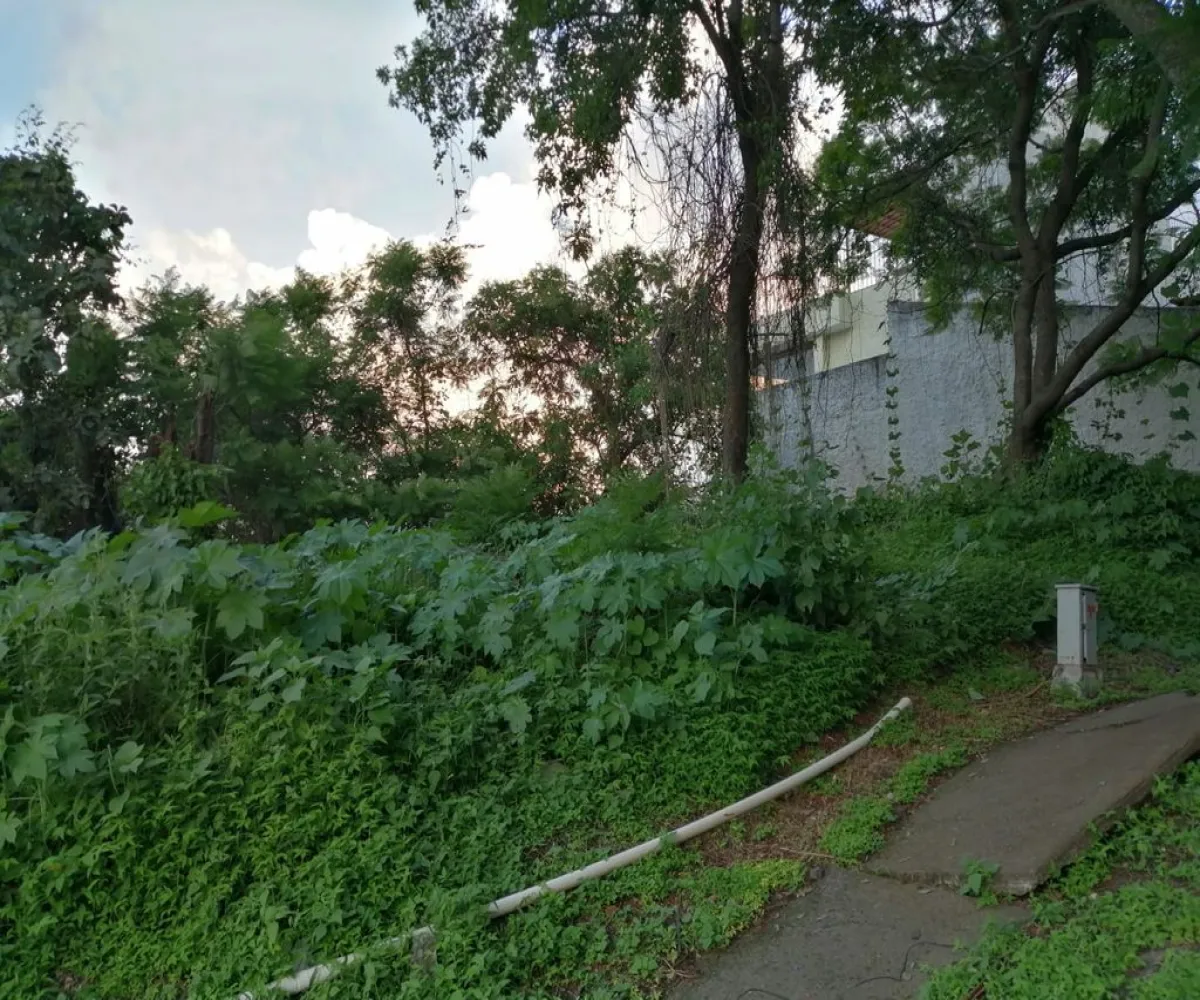 Terreno En Venta,Ciudad Bugambilia,Del Reno Norte S/N, Zapopan, Jalisco 45237,Del Reno Norte,pByvBAm