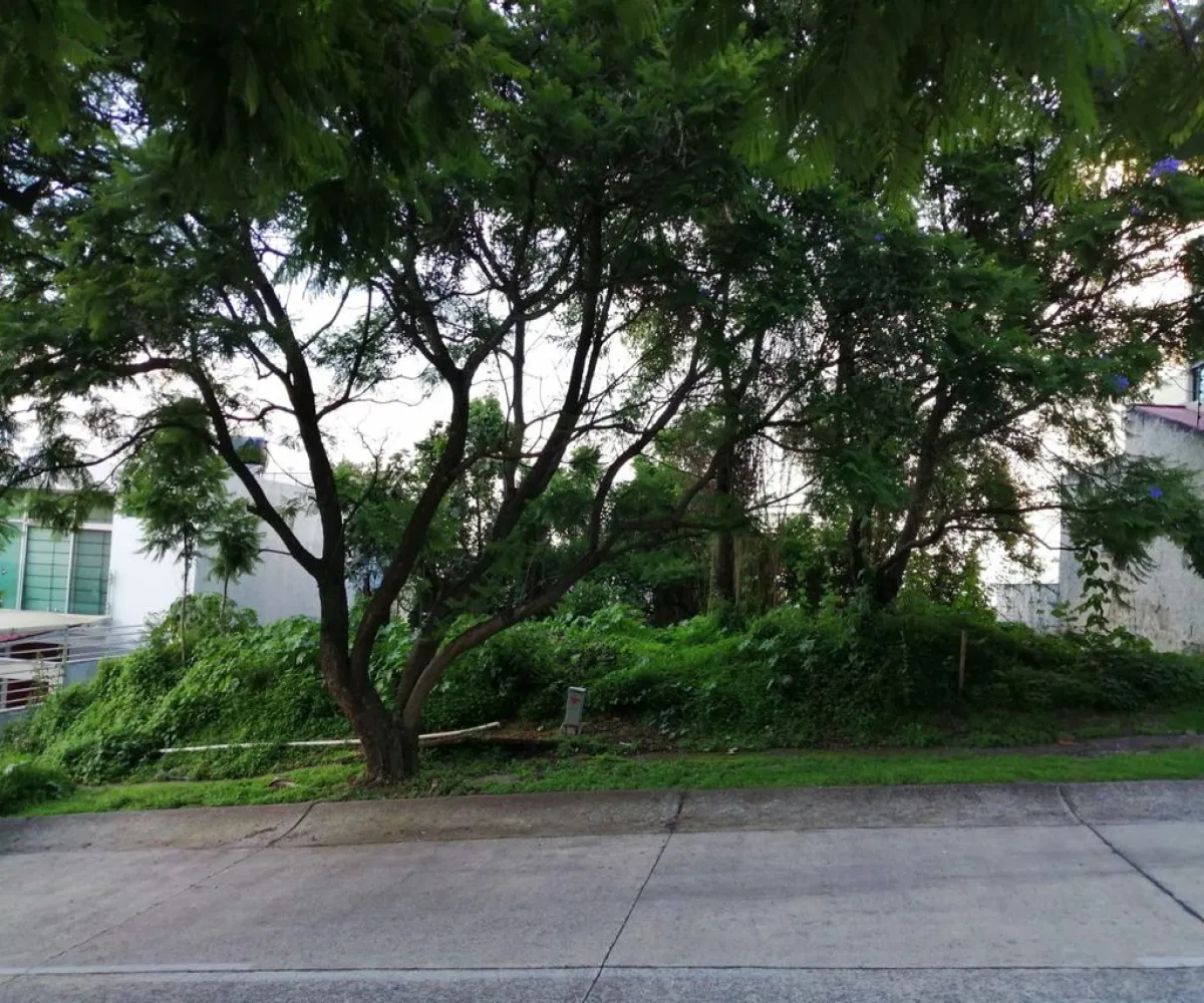 Terreno En Venta,Ciudad Bugambilia,Del Reno Norte S/N, Zapopan, Jalisco 45237,Del Reno Norte,pByvBAm