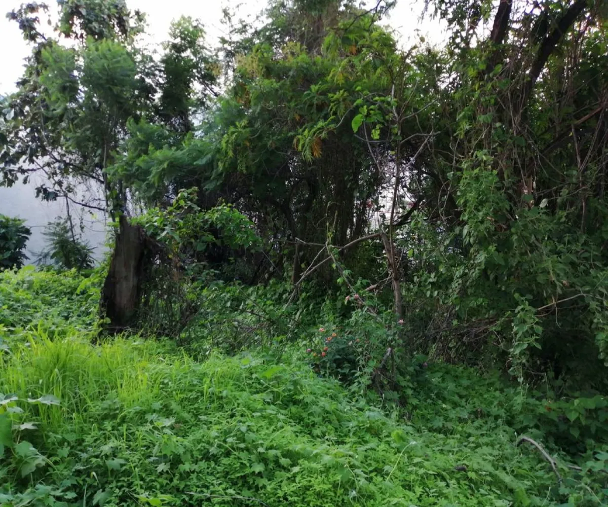 Terreno En Venta,Ciudad Bugambilia,Del Reno Norte S/N, Zapopan, Jalisco 45237,Del Reno Norte,pByvBAm