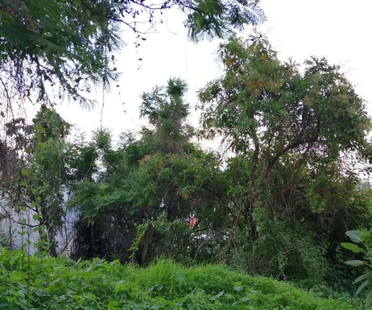 Terreno En Venta,Ciudad Bugambilia,Del Reno Norte S/N, Zapopan, Jalisco 45237,Del Reno Norte,pByvBAm
