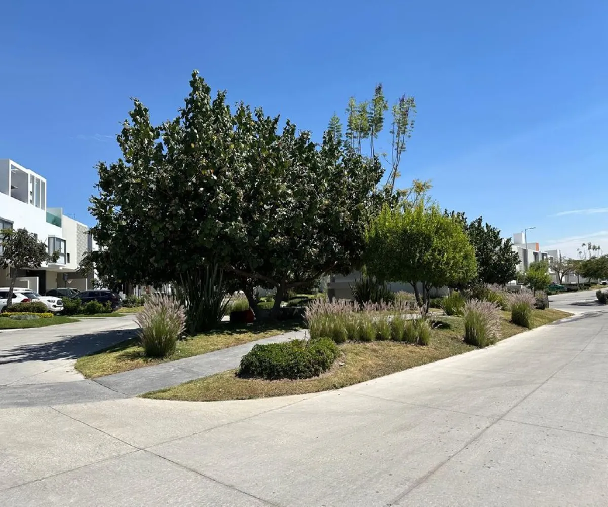 Casa En Venta,San Agustín,AVENIDA PARAJE DE LAS GRULLAS 200, Tlajomulco de Zúñiga, Jalisco 45645, 4 Habitaciones,4 Baños,AVENIDA PARAJE DE LAS GRULLAS,3,plPaJt2