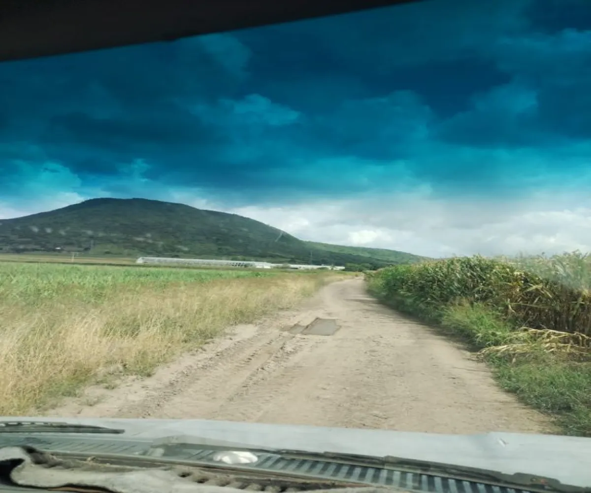 Terreno En Venta,Centro Unión de Tula,Centro S/N, Unión de Tula, Jalisco 48000,Centro ,puJtAr8 Terreno En Venta,Centro Unión de Tula,Centro S/N, Unión de Tula, Jalisco 48000,Centro ,puJtAr8