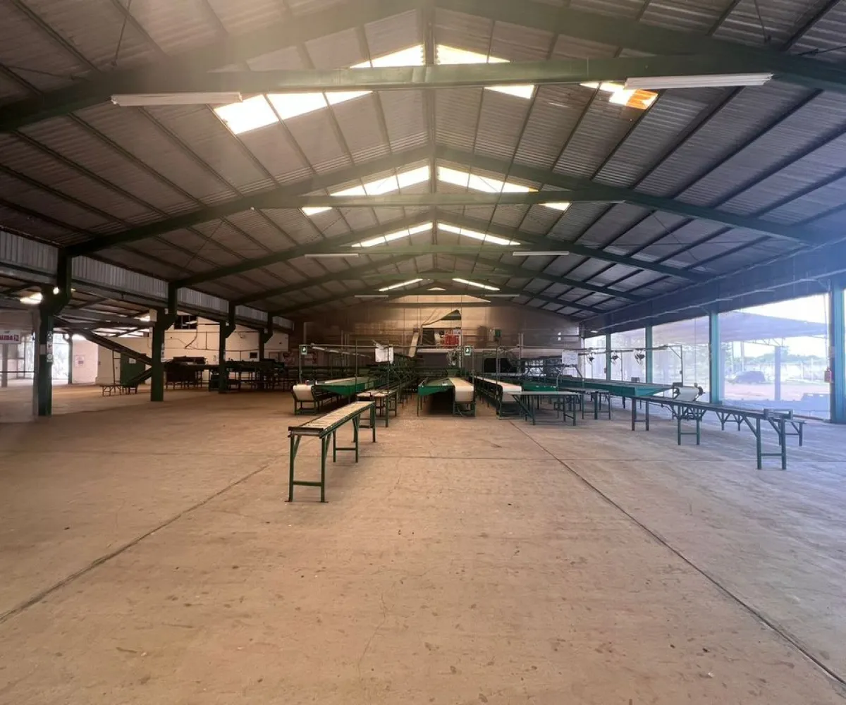 Industrial En Venta,Los Sandovales,Carretera Tecuala acaponeta kilómetro 7 S/N, Acaponeta, Nayarit 63421,10 Baños,Carretera Tecuala acaponeta kilómetro 7,p5gbs5T