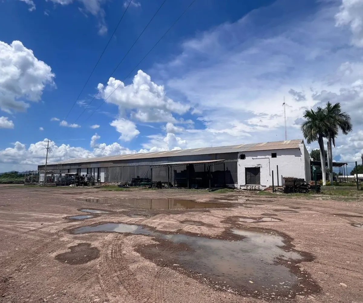 Industrial En Venta,Los Sandovales,Carretera Tecuala acaponeta kilómetro 7 S/N, Acaponeta, Nayarit 63421,10 Baños,Carretera Tecuala acaponeta kilómetro 7,p5gbs5T