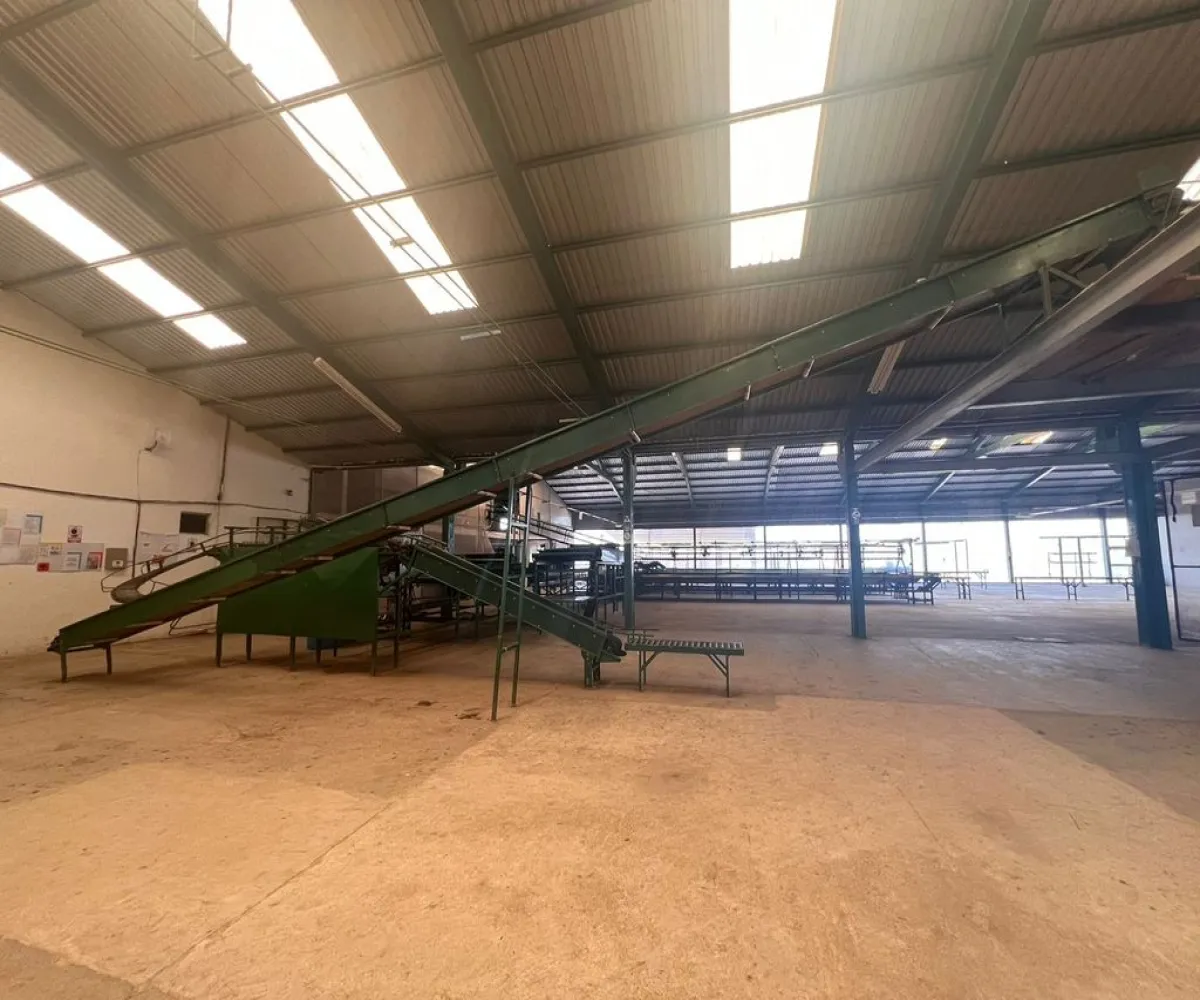 Industrial En Venta,Los Sandovales,Carretera Tecuala acaponeta kilómetro 7 S/N, Acaponeta, Nayarit 63421,10 Baños,Carretera Tecuala acaponeta kilómetro 7,p5gbs5T