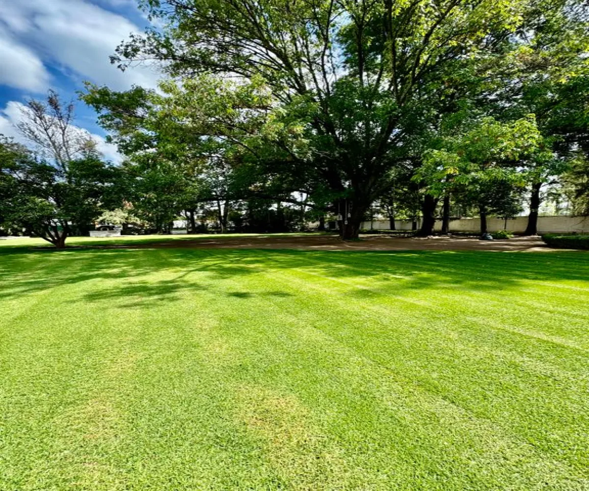 En Venta,La Palmira,Calle Agua Marina 2770, Zapopan, Jalisco 45234,4 Baños,Calle Agua Marina,2,pd4nzJQ