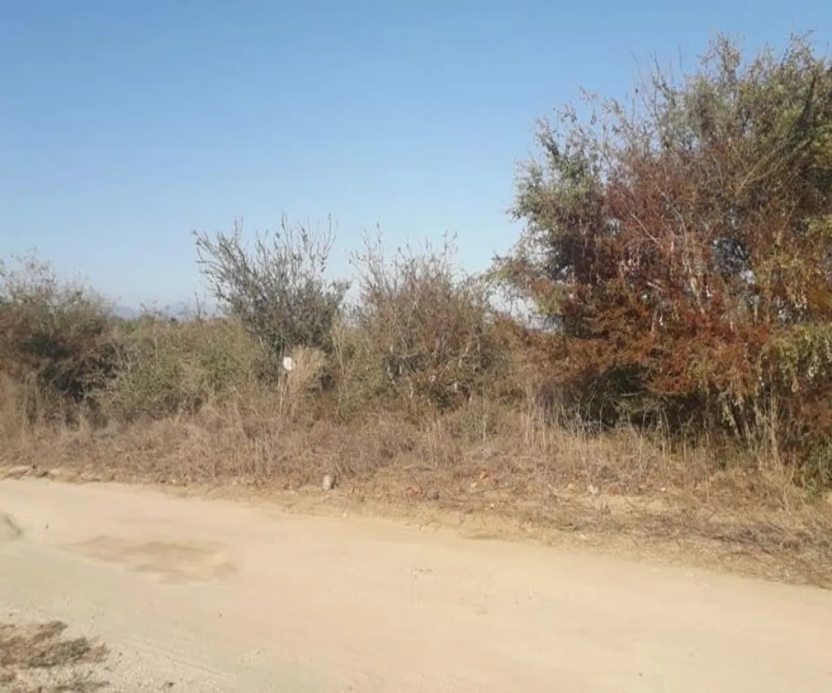 Terreno En Venta,Barra de Navidad,Lote 10, Manzana 3, de la zona 1 S/N, Cihuatlán, Jalisco 48987,Lote 10, Manzana 3, de la zona 1,p4dp72e