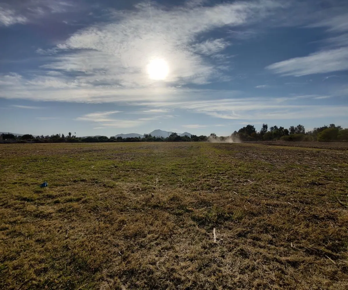 Terreno En Venta,Concepción del Valle,Av. Morelos S/N, Tlajomulco de Zúñiga, Jalisco 45653,Av. Morelos,pf8sBut Terreno En Venta,Concepción del Valle,Av. Morelos S/N, Tlajomulco de Zúñiga, Jalisco 45653,Av. Morelos,pf8sBut