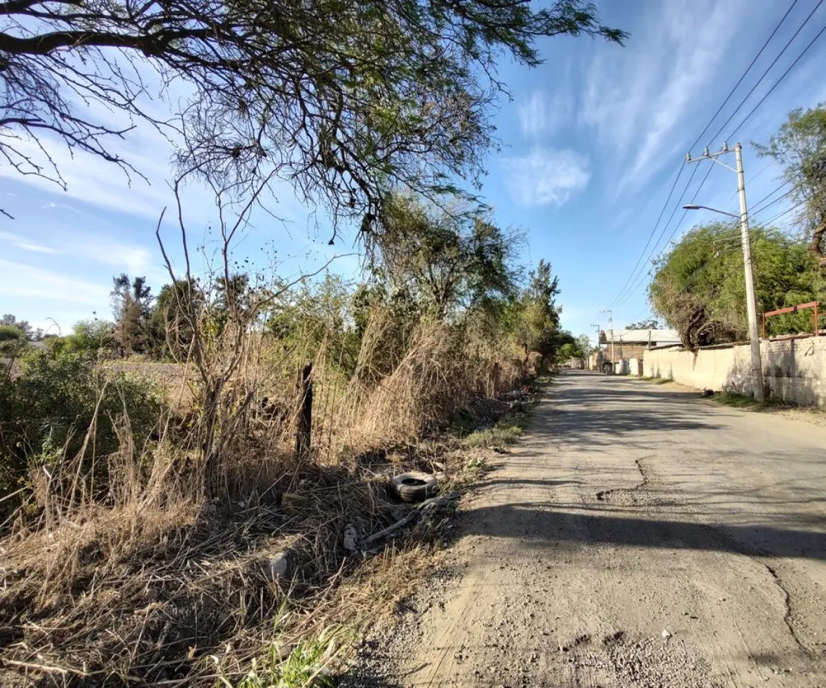 Terreno En Venta,Concepción del Valle,Av. Morelos S/N, Tlajomulco de Zúñiga, Jalisco 45653,Av. Morelos,pf8sBut Terreno En Venta,Concepción del Valle,Av. Morelos S/N, Tlajomulco de Zúñiga, Jalisco 45653,Av. Morelos,pf8sBut