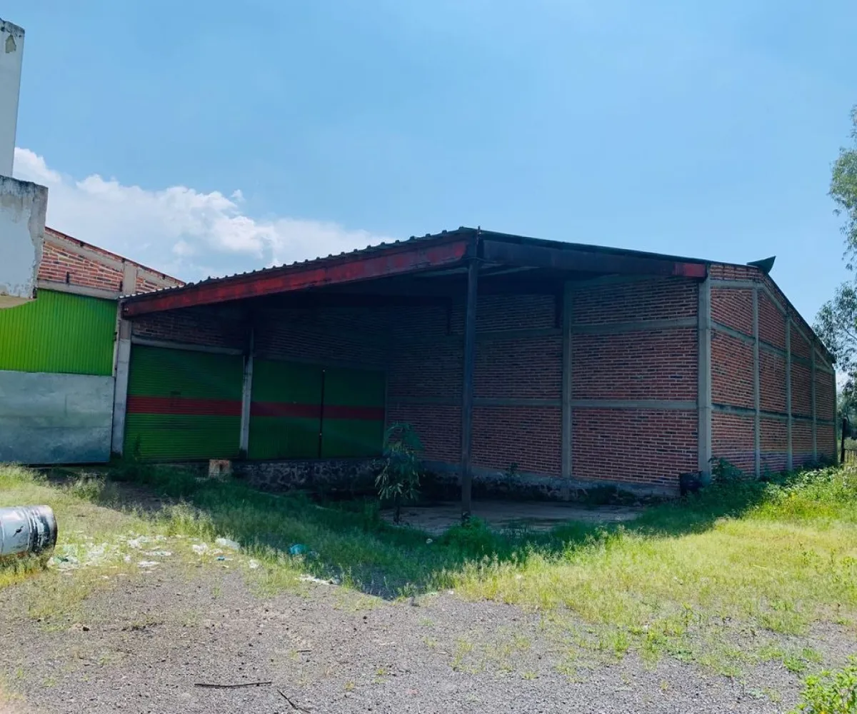 Bodega En Venta,Santa Cruz (El Grande),Rio Santiago 38, Poncitlán, Jalisco 45960,1 Baño,Rio Santiago,2,pXIgqix