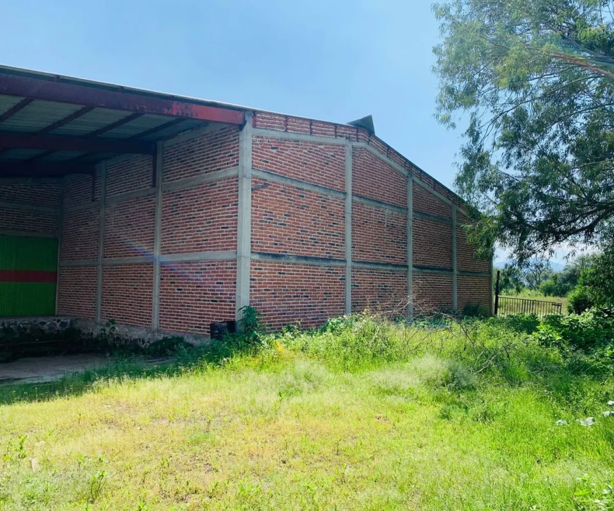 Bodega En Venta,Santa Cruz (El Grande),Rio Santiago 38, Poncitlán, Jalisco 45960,1 Baño,Rio Santiago,2,pXIgqix