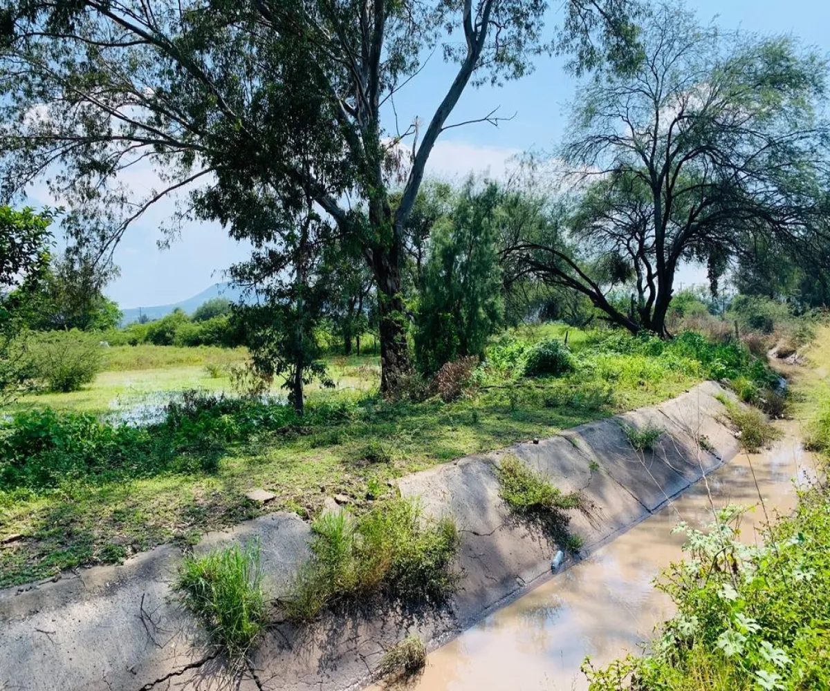 Bodega En Venta,Santa Cruz (El Grande),Rio Santiago 38, Poncitlán, Jalisco 45960,1 Baño,Rio Santiago,2,pXIgqix