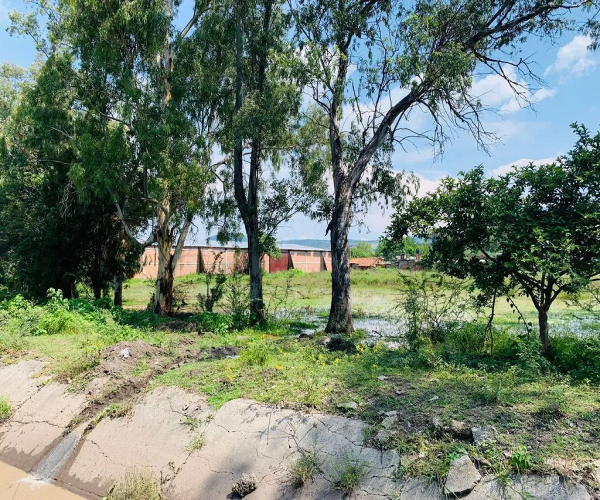 Bodega En Venta,Santa Cruz (El Grande),Rio Santiago 38, Poncitlán, Jalisco 45960,1 Baño,Rio Santiago,2,pXIgqix