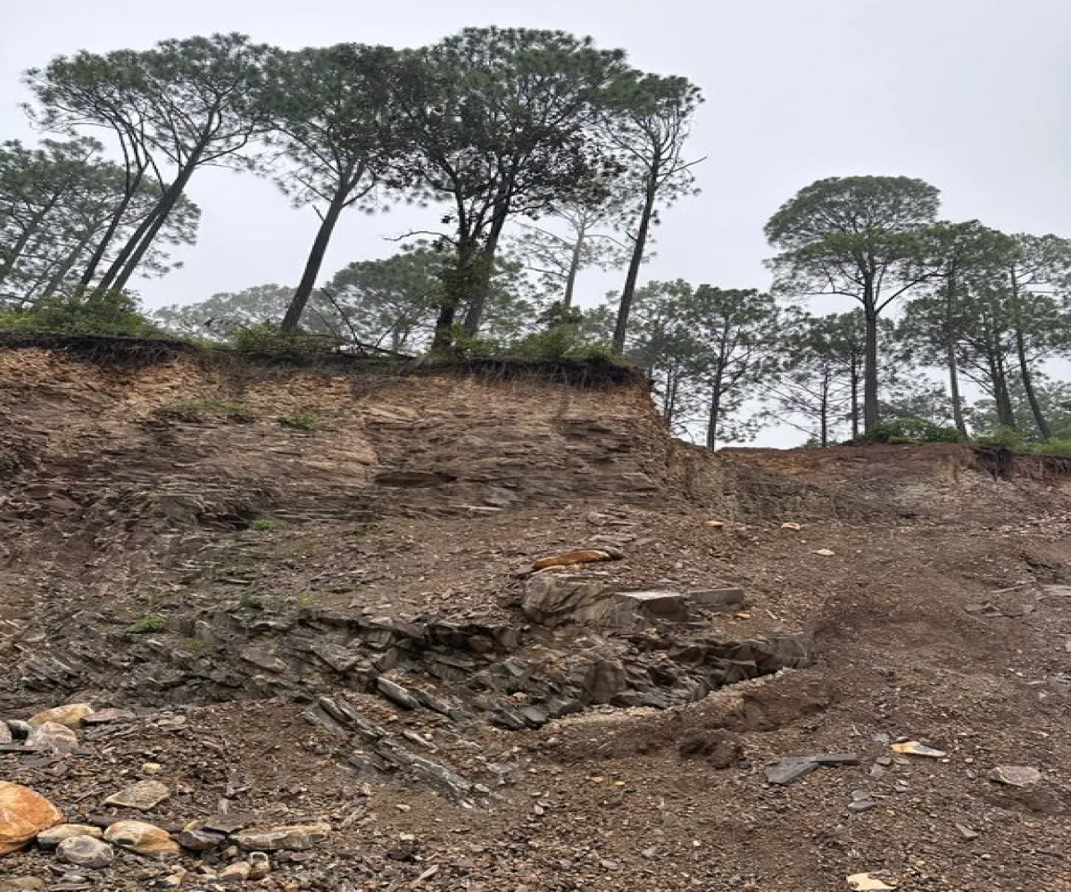 Terreno En Venta,Mirador Sierra del Tigre,Privada Cuauhtemoc S/N, Mazamitla, Jalisco 49500,Privada Cuauhtemoc,pvN1cE3 Terreno En Venta,Mirador Sierra del Tigre,Privada Cuauhtemoc S/N, Mazamitla, Jalisco 49500,Privada Cuauhtemoc,pvN1cE3