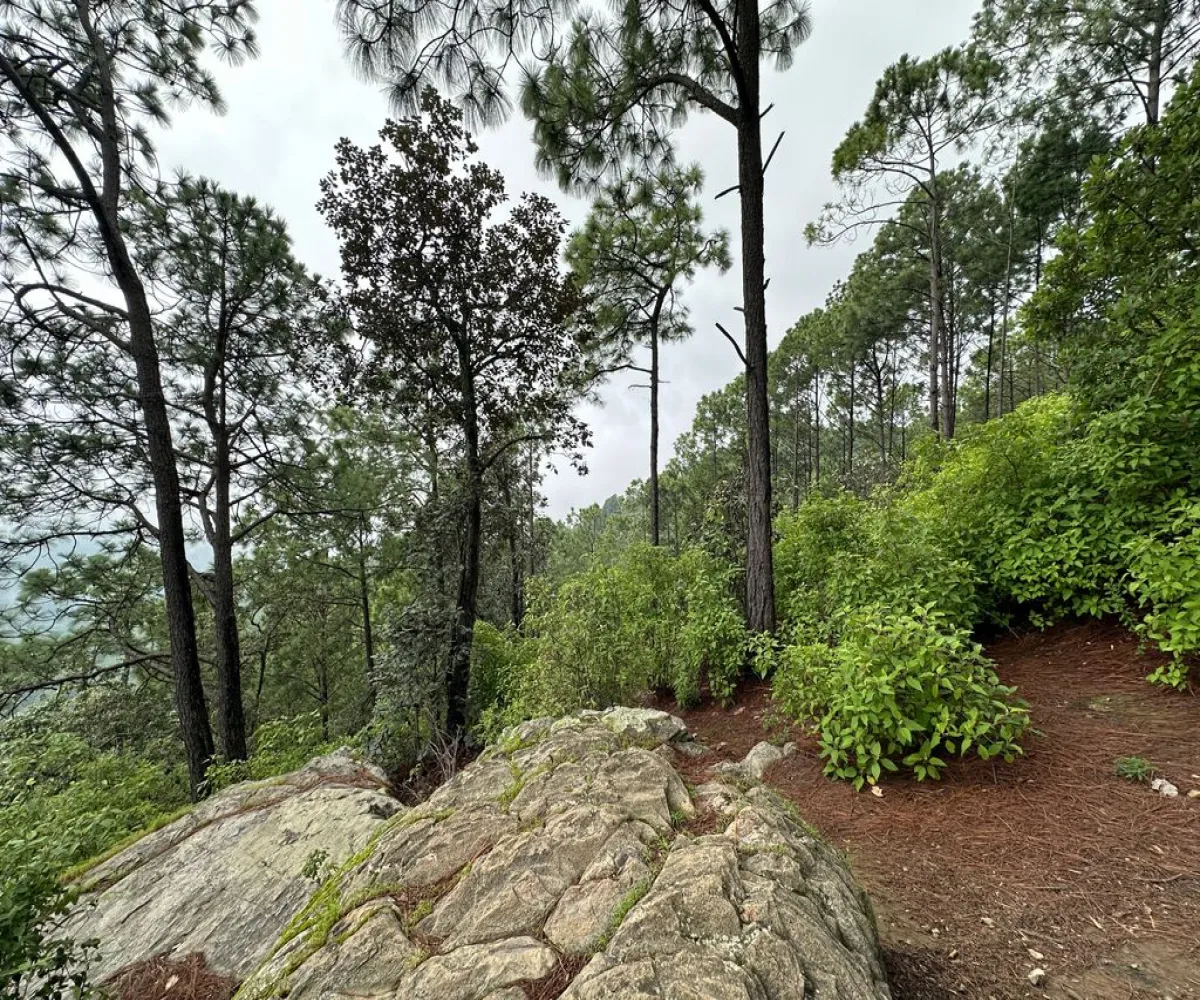 Terreno En Venta,Mirador Sierra del Tigre,Privada Cuauhtemoc S/N, Mazamitla, Jalisco 49500,Privada Cuauhtemoc,pvN1cE3 Terreno En Venta,Mirador Sierra del Tigre,Privada Cuauhtemoc S/N, Mazamitla, Jalisco 49500,Privada Cuauhtemoc,pvN1cE3