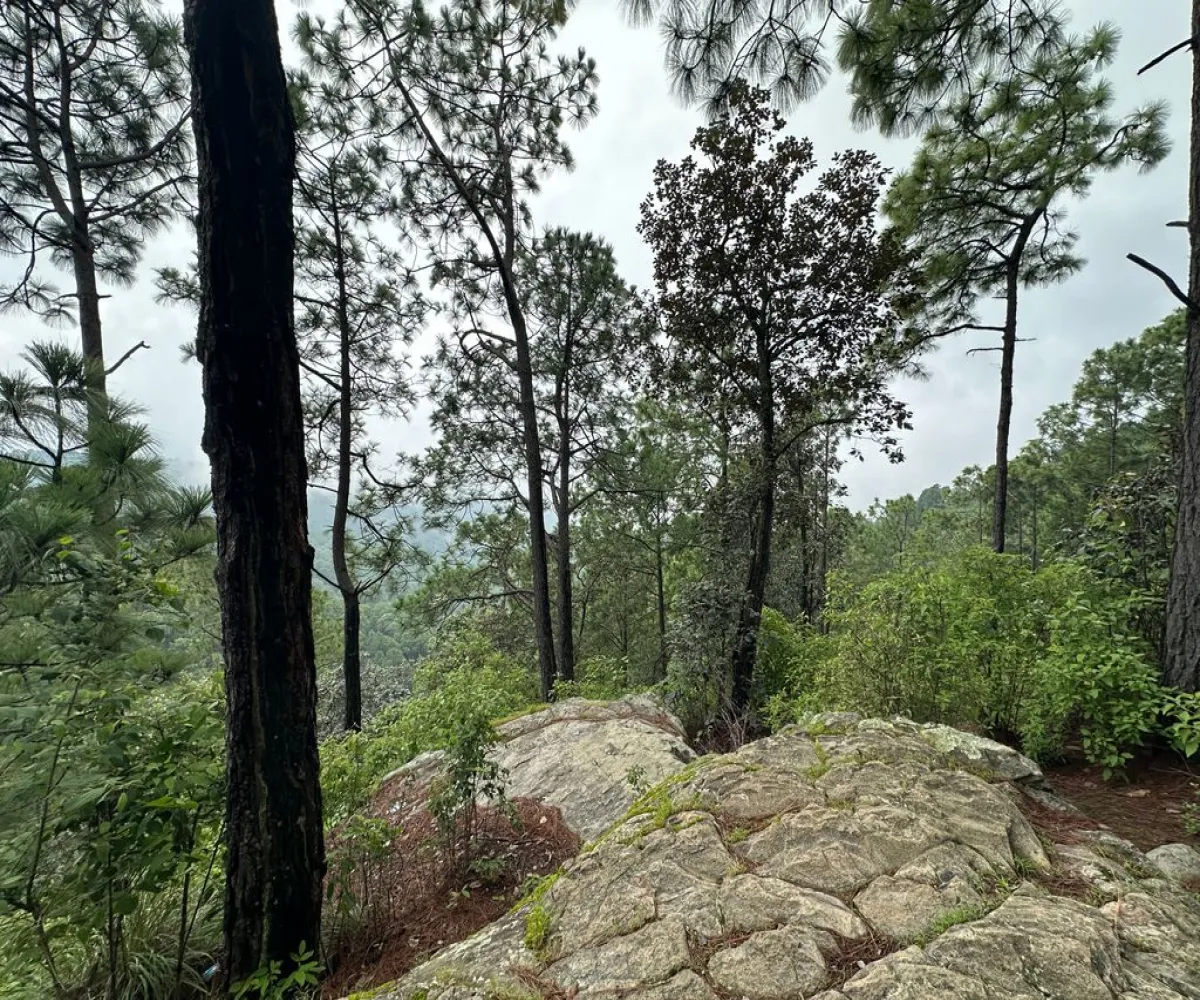 Terreno En Venta,Mirador Sierra del Tigre,Privada Cuauhtemoc S/N, Mazamitla, Jalisco 49500,Privada Cuauhtemoc,pvN1cE3 Terreno En Venta,Mirador Sierra del Tigre,Privada Cuauhtemoc S/N, Mazamitla, Jalisco 49500,Privada Cuauhtemoc,pvN1cE3