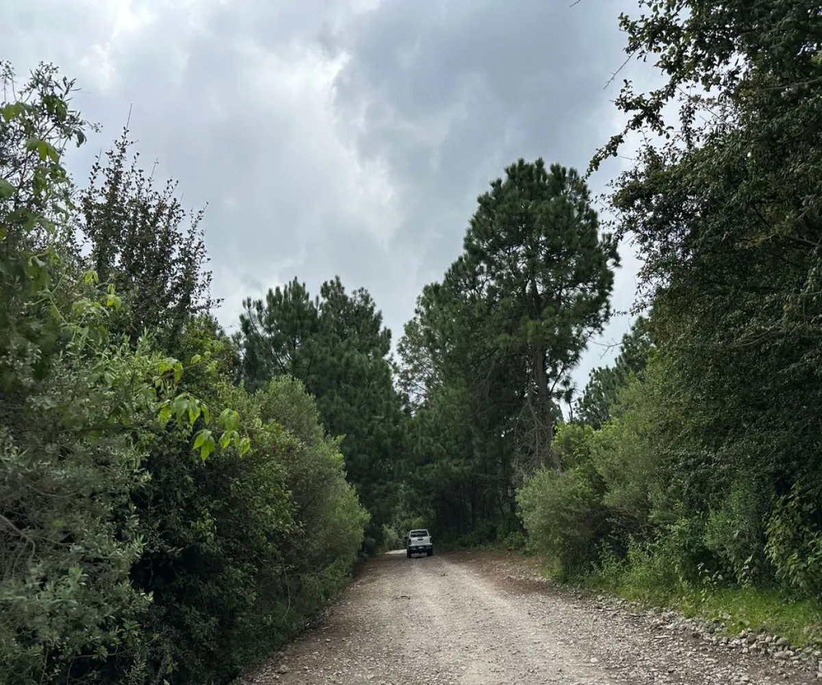 Terreno En Venta,Mirador Sierra del Tigre,Privada Cuauhtemoc S/N, Mazamitla, Jalisco 49500,Privada Cuauhtemoc,pvN1cE3 Terreno En Venta,Mirador Sierra del Tigre,Privada Cuauhtemoc S/N, Mazamitla, Jalisco 49500,Privada Cuauhtemoc,pvN1cE3