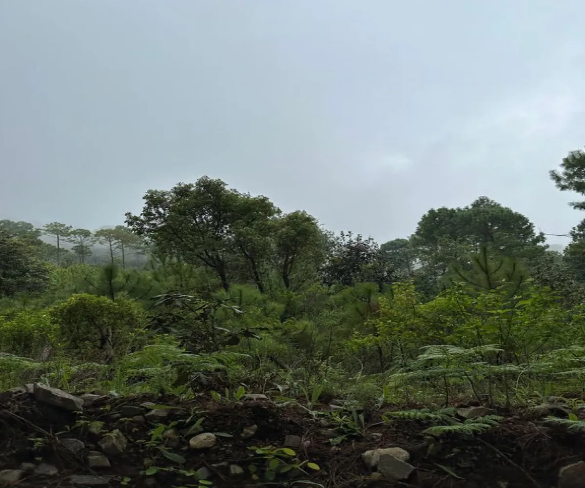 Terreno En Venta,Mirador Sierra del Tigre,Privada Cuauhtemoc S/N, Mazamitla, Jalisco 49500,Privada Cuauhtemoc,pvN1cE3 Terreno En Venta,Mirador Sierra del Tigre,Privada Cuauhtemoc S/N, Mazamitla, Jalisco 49500,Privada Cuauhtemoc,pvN1cE3