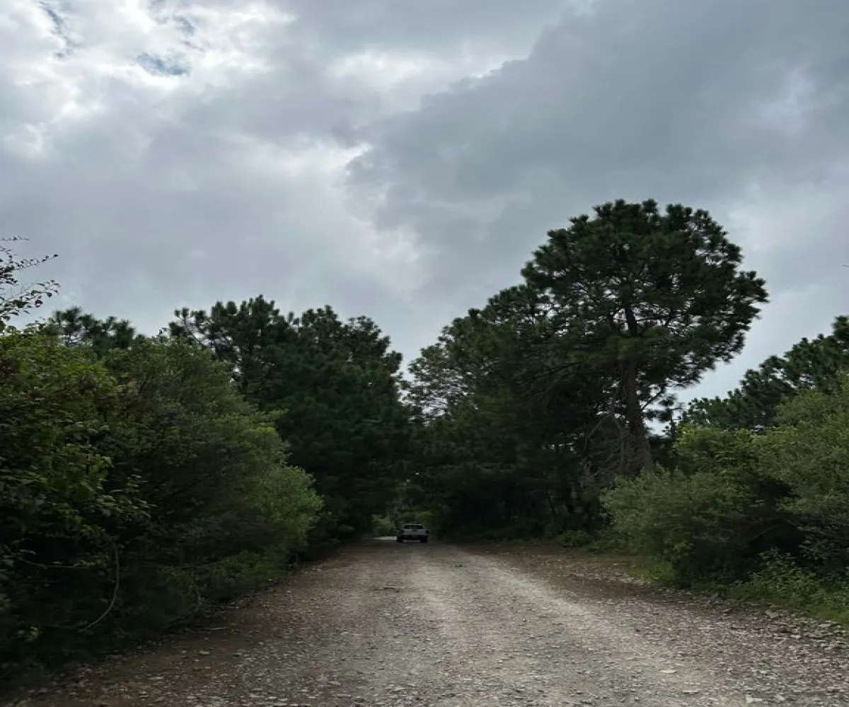 Terreno En Venta,Mirador Sierra del Tigre,Privada Cuauhtemoc S/N, Mazamitla, Jalisco 49500,Privada Cuauhtemoc,pvN1cE3 Terreno En Venta,Mirador Sierra del Tigre,Privada Cuauhtemoc S/N, Mazamitla, Jalisco 49500,Privada Cuauhtemoc,pvN1cE3