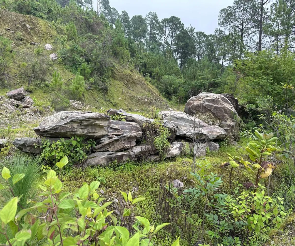 Terreno En Venta,Mirador Sierra del Tigre,Privada Cuauhtemoc S/N, Mazamitla, Jalisco 49500,Privada Cuauhtemoc,pvN1cE3 Terreno En Venta,Mirador Sierra del Tigre,Privada Cuauhtemoc S/N, Mazamitla, Jalisco 49500,Privada Cuauhtemoc,pvN1cE3