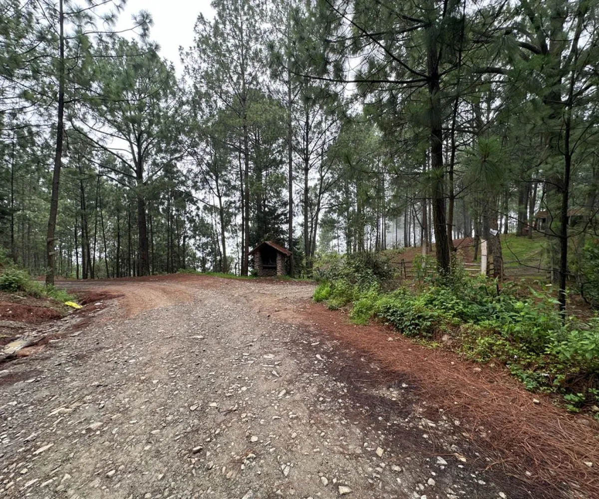 Terreno En Venta,Mirador Sierra del Tigre,Privada Cuauhtemoc S/N, Mazamitla, Jalisco 49500,Privada Cuauhtemoc,pvN1cE3 Terreno En Venta,Mirador Sierra del Tigre,Privada Cuauhtemoc S/N, Mazamitla, Jalisco 49500,Privada Cuauhtemoc,pvN1cE3