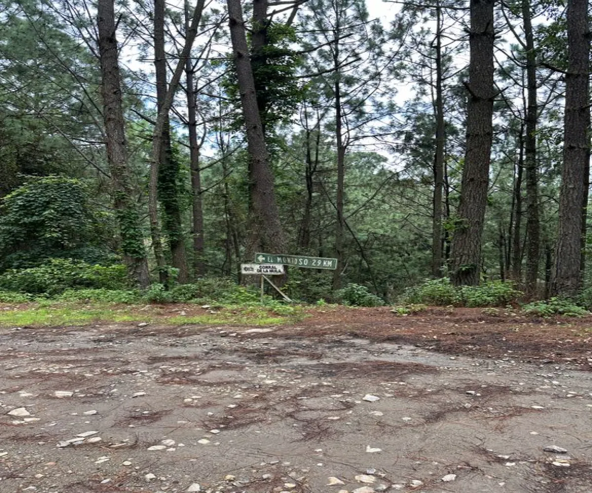 Terreno En Venta,Mirador Sierra del Tigre,Privada Cuauhtemoc S/N, Mazamitla, Jalisco 49500,Privada Cuauhtemoc,pvN1cE3 Terreno En Venta,Mirador Sierra del Tigre,Privada Cuauhtemoc S/N, Mazamitla, Jalisco 49500,Privada Cuauhtemoc,pvN1cE3