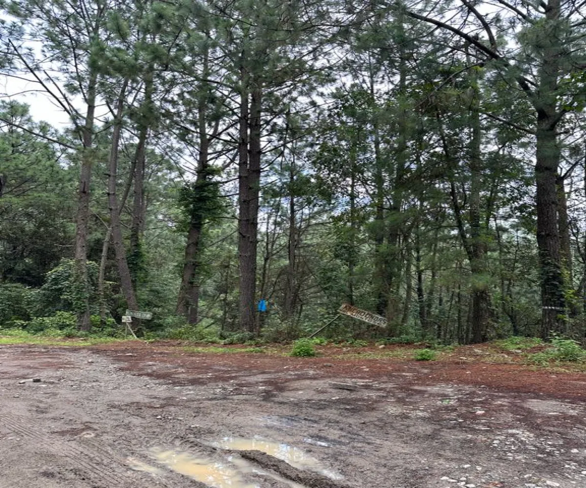 Terreno En Venta,Mirador Sierra del Tigre,Privada Cuauhtemoc S/N, Mazamitla, Jalisco 49500,Privada Cuauhtemoc,pvN1cE3 Terreno En Venta,Mirador Sierra del Tigre,Privada Cuauhtemoc S/N, Mazamitla, Jalisco 49500,Privada Cuauhtemoc,pvN1cE3