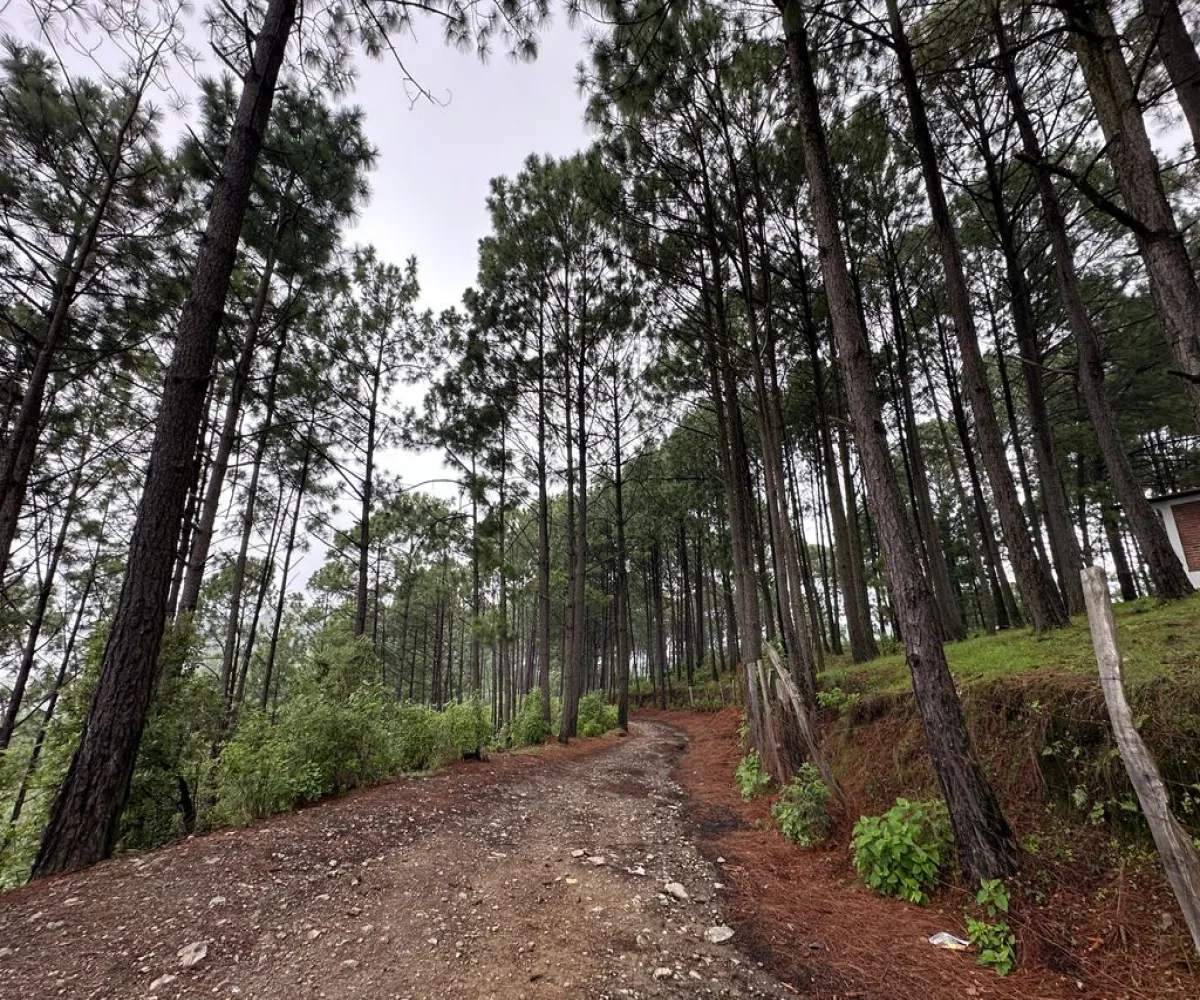 Terreno En Venta,Mirador Sierra del Tigre,Privada Cuauhtemoc S/N, Mazamitla, Jalisco 49500,Privada Cuauhtemoc,pvN1cE3 Terreno En Venta,Mirador Sierra del Tigre,Privada Cuauhtemoc S/N, Mazamitla, Jalisco 49500,Privada Cuauhtemoc,pvN1cE3