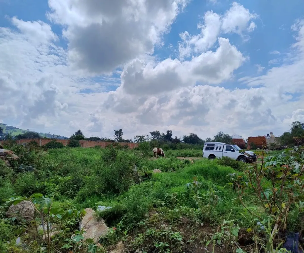 Terreno En Venta,Tateposco,Parcela 92 S/N, San Pedro Tlaquepaque, Jalisco 45630,Parcela 92,pgePqYe Terreno En Venta,Tateposco,Parcela 92 S/N, San Pedro Tlaquepaque, Jalisco 45630,Parcela 92,pgePqYe