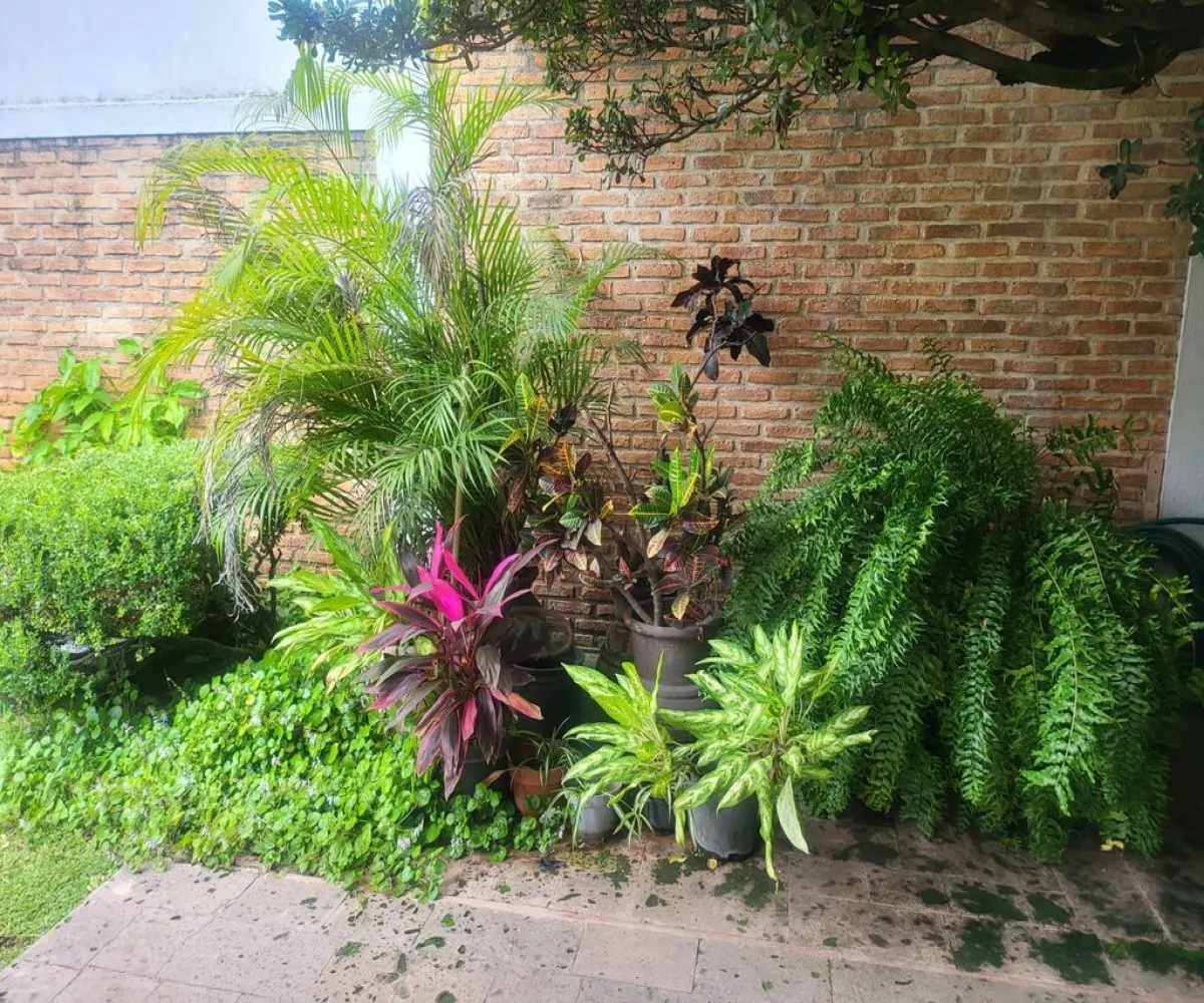 Casa En Renta,Fracc Monraz,Calle Lacandones 466, Guadalajara, Jalisco 44670, 3 Habitaciones,2 Baños,Calle Lacandones,2,pn6lGqM Casa En Renta,Fracc Monraz,Calle Lacandones 466, Guadalajara, Jalisco 44670, 3 Habitaciones,2 Baños,Calle Lacandones,2,pn6lGqM