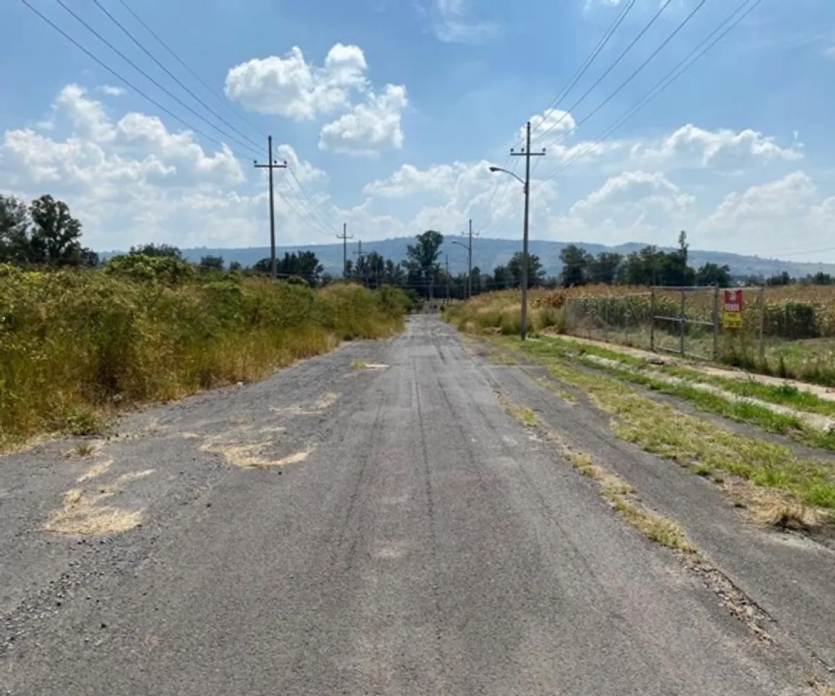 Terreno En Venta,Los Tepetates,Parque industrial Zapotlanejo S/N, Zapotlanejo, Jalisco 45430,Parque industrial Zapotlanejo,p2sXF6h