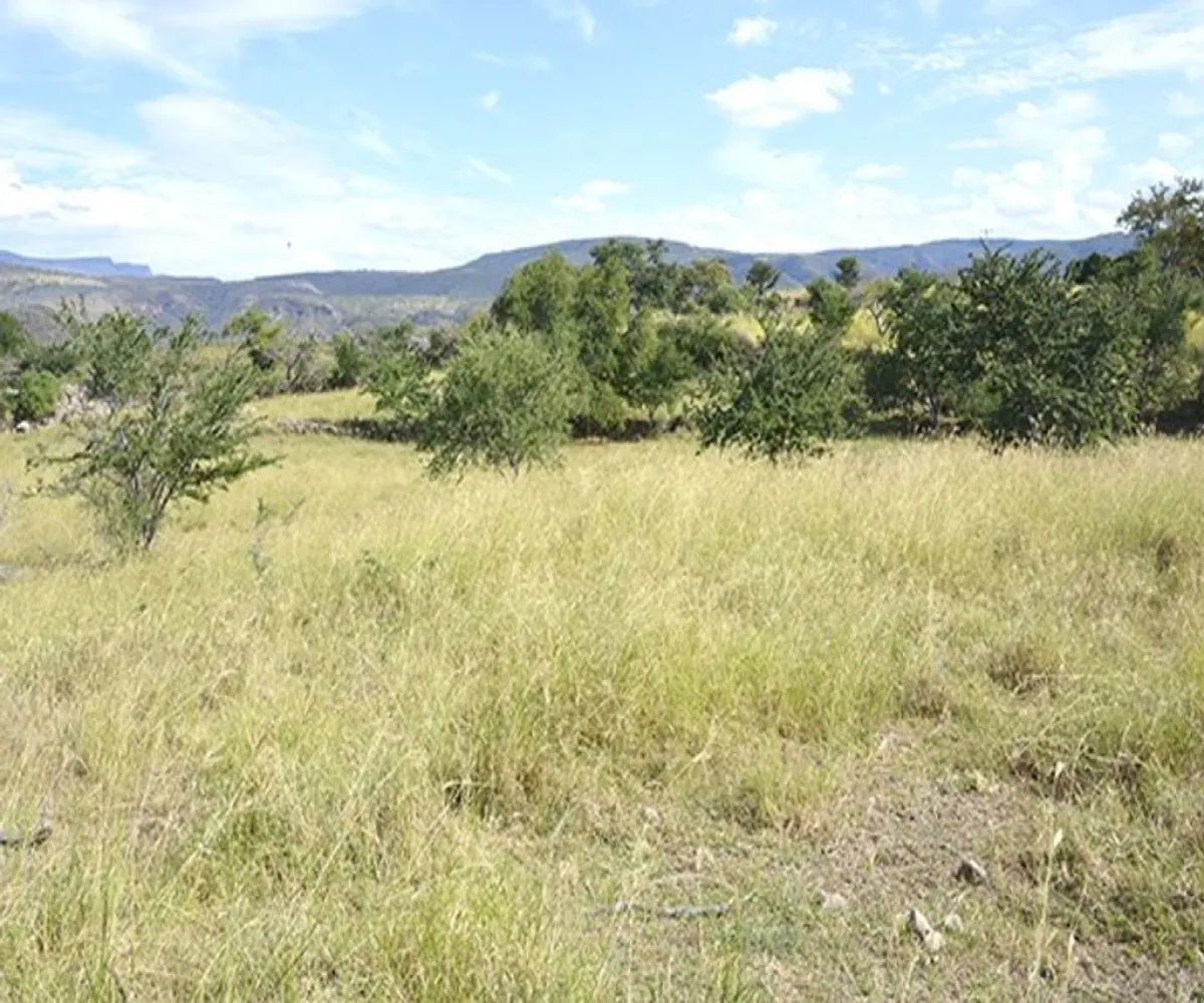 Terreno En Venta,El Escalón,Kilometro 26.5 S/N, San Cristóbal de la Barranca, Jalisco 45255, 2 Habitaciones,1 Baño,Kilometro 26.5,1,pnd9v76