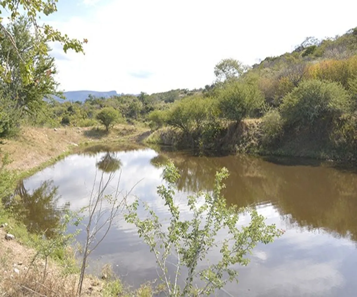 Terreno En Venta,El Escalón,Kilometro 26.5 S/N, San Cristóbal de la Barranca, Jalisco 45255, 2 Habitaciones,1 Baño,Kilometro 26.5,1,pnd9v76