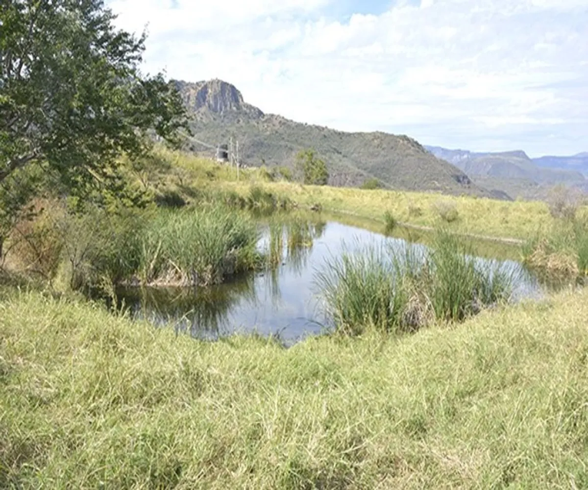 Terreno En Venta,El Escalón,Kilometro 26.5 S/N, San Cristóbal de la Barranca, Jalisco 45255, 2 Habitaciones,1 Baño,Kilometro 26.5,1,pnd9v76