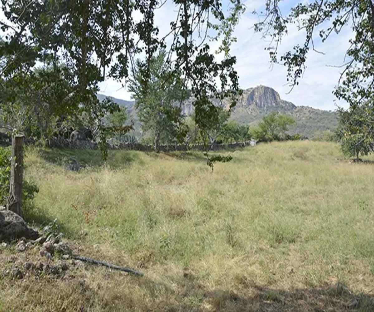 Terreno En Venta,El Escalón,Kilometro 26.5 S/N, San Cristóbal de la Barranca, Jalisco 45255, 2 Habitaciones,1 Baño,Kilometro 26.5,1,pnd9v76