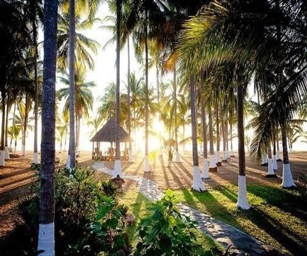 Terreno En Venta,Compostela Centro,playa las tortugas S/N, Compostela, Nayarit 63700,playa las tortugas,p4tMYOn