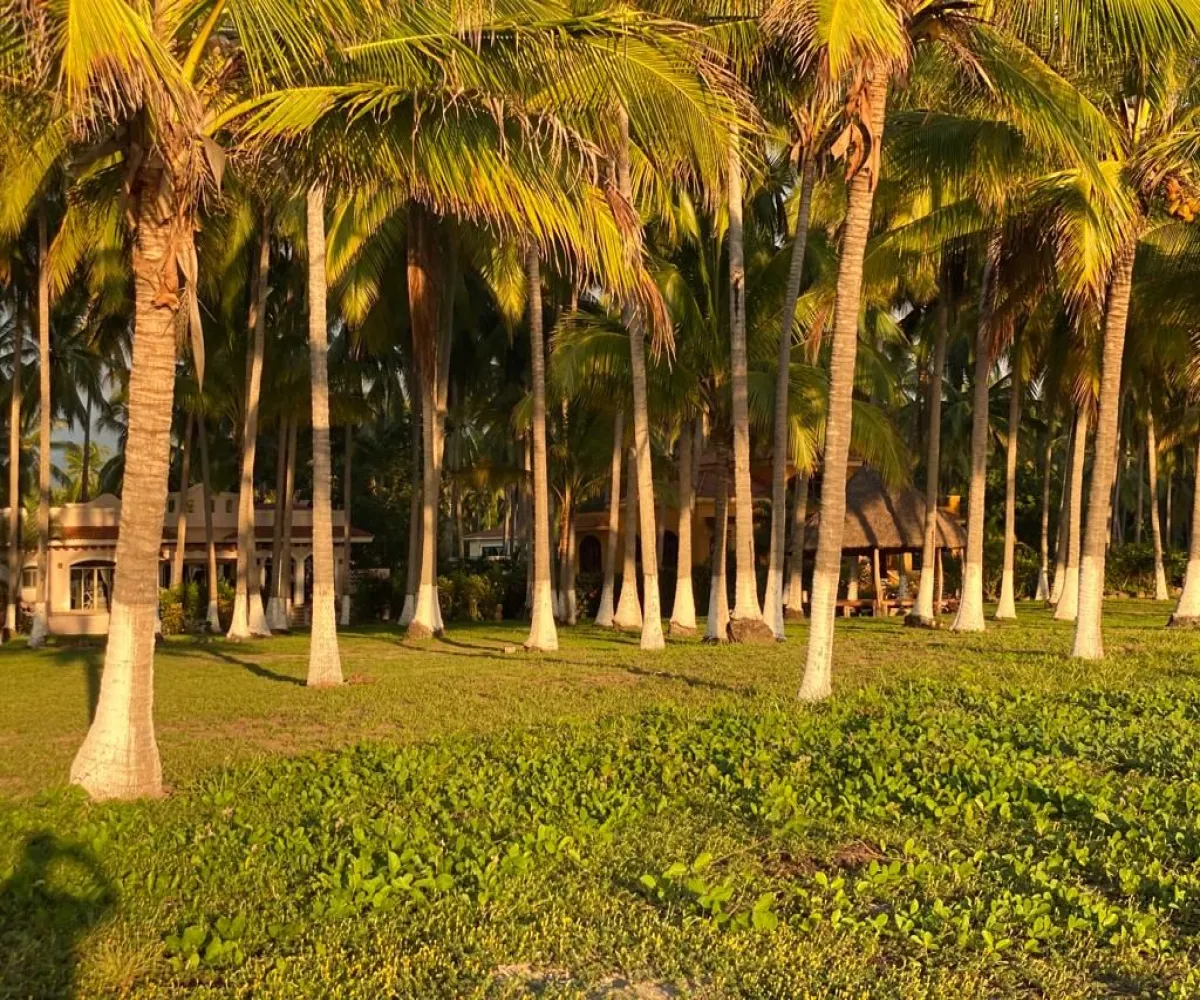 Terreno En Venta,Compostela Centro,playa las tortugas S/N, Compostela, Nayarit 63700,playa las tortugas,p4tMYOn