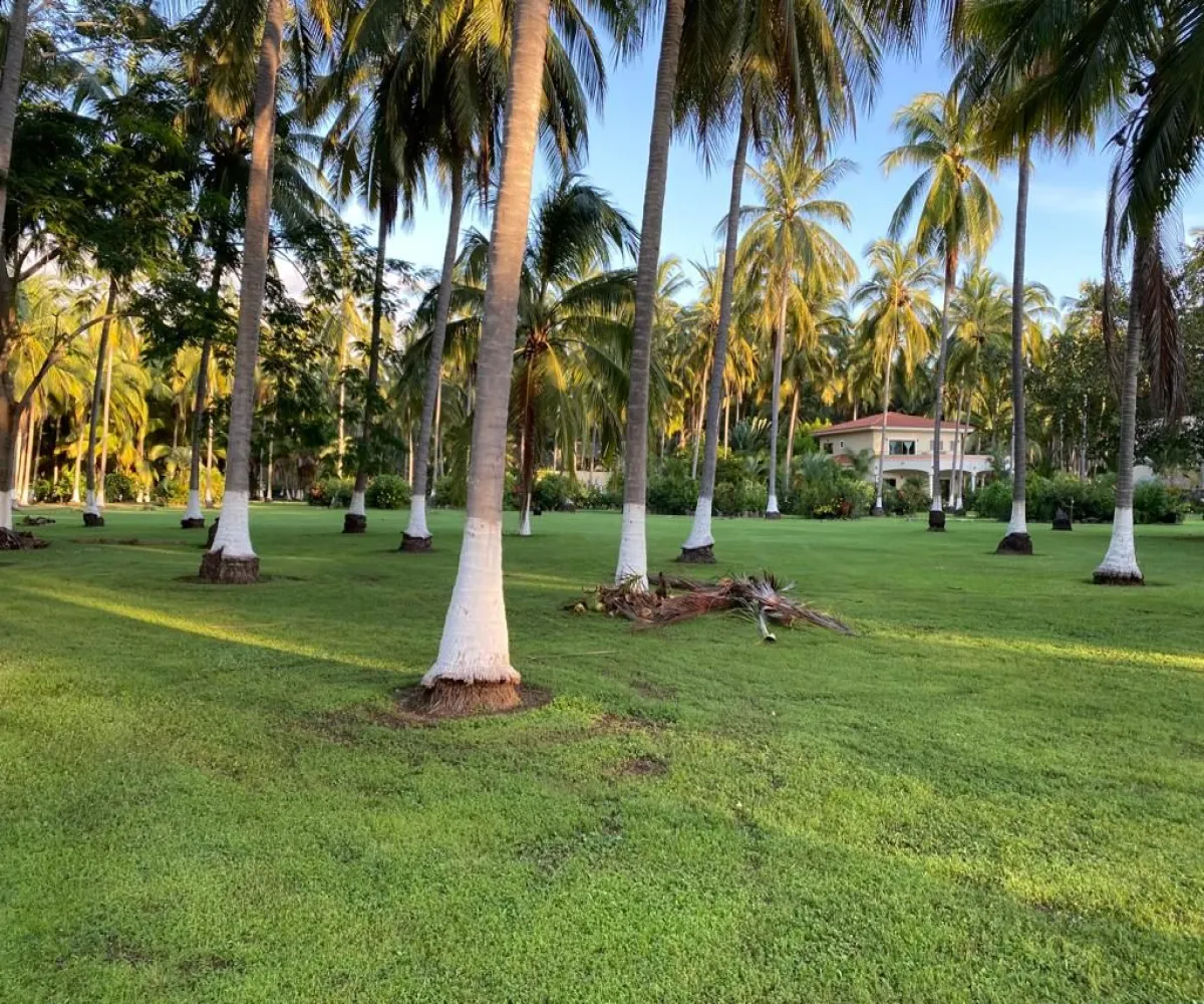 Terreno En Venta,Compostela Centro,playa las tortugas S/N, Compostela, Nayarit 63700,playa las tortugas,p4tMYOn