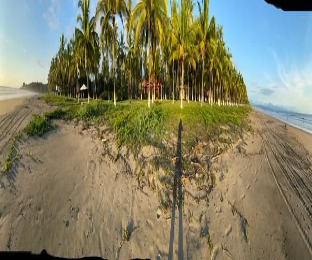 Terreno En Venta,Compostela Centro,playa las tortugas S/N, Compostela, Nayarit 63700,playa las tortugas,p4tMYOn