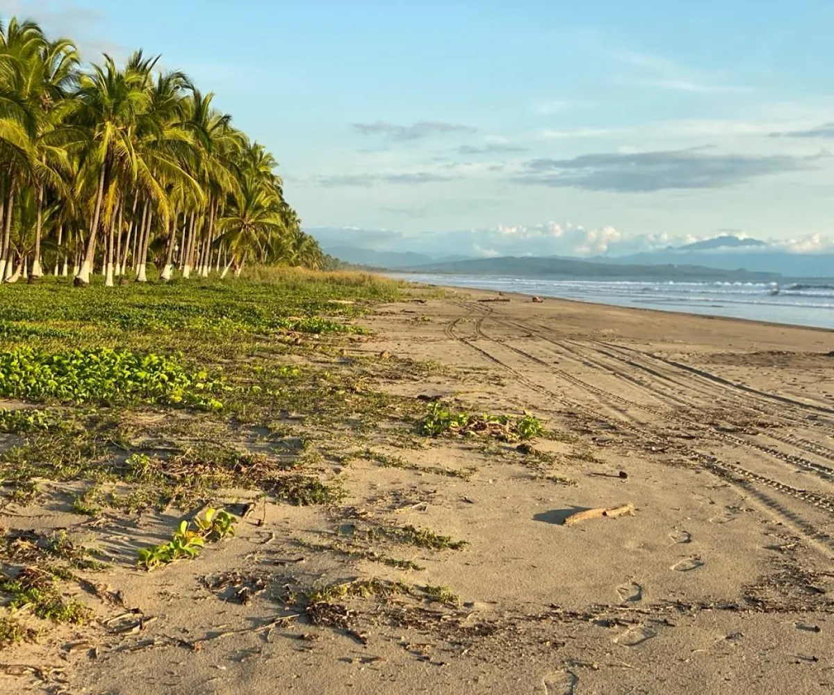 Terreno En Venta,Compostela Centro,playa las tortugas S/N, Compostela, Nayarit 63700,playa las tortugas,p4tMYOn