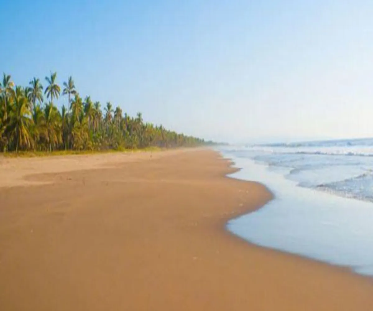 Terreno En Venta,Compostela Centro,playa las tortugas S/N, Compostela, Nayarit 63700,playa las tortugas,p4tMYOn