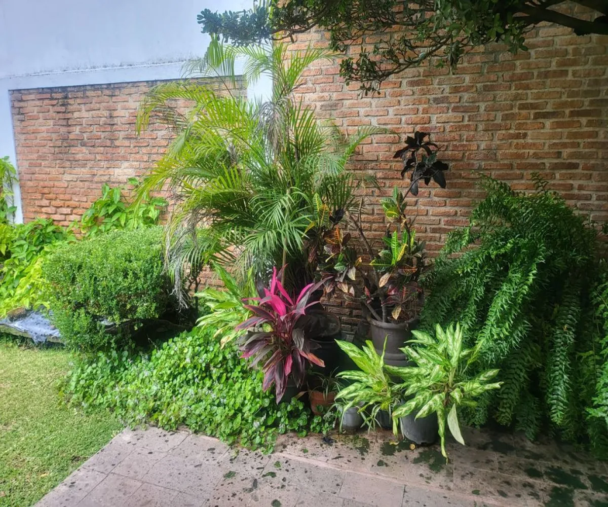 Casa En Renta,Fracc Monraz,Calle Lacandones 466, Guadalajara, Jalisco 44670,3 Baños,Calle Lacandones,2,pVDEAhH