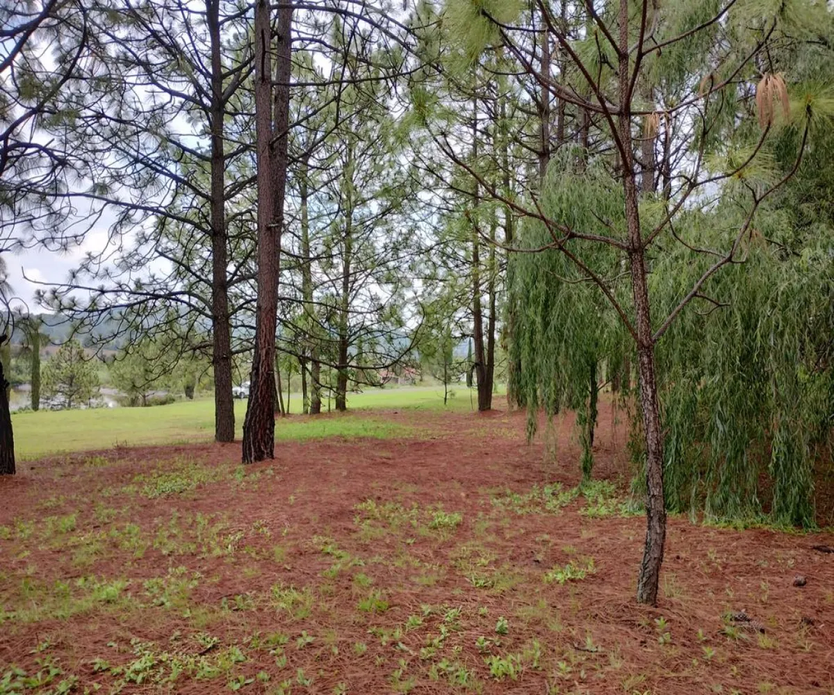 Terreno En Venta,San Antonio Country,belizario dominguez 100 8, Tapalpa, Jalisco 49340,belizario dominguez,pVoENx6