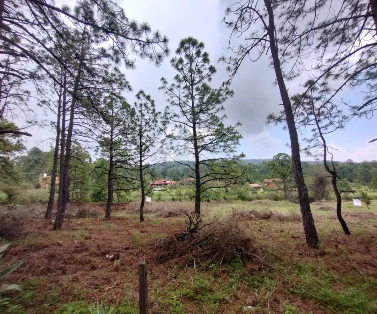 Terreno En Venta,San Antonio Country,belizario dominguez 100 8, Tapalpa, Jalisco 49340,belizario dominguez,pVoENx6